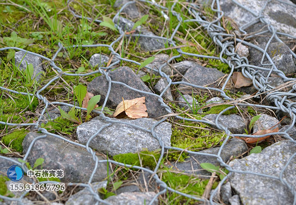 雙隔板雷諾護(hù)墊
