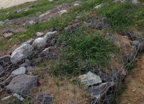 賓格網(wǎng)護(hù)墊