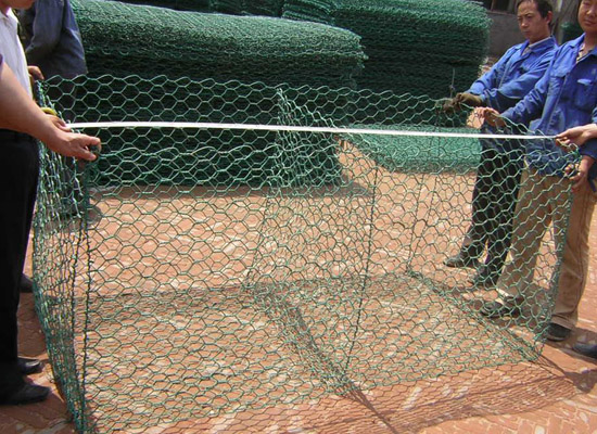 生態(tài)格網(wǎng)