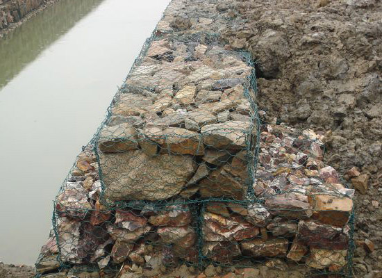 生態(tài)格網(wǎng)