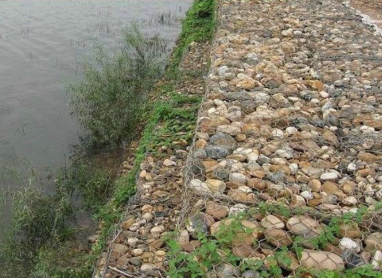 生態(tài)格網(wǎng)